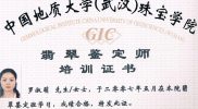 certificate003_GIC