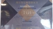 certificate016_TGI